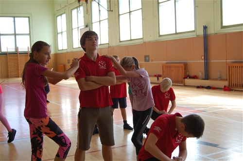 Obrázek v galerii